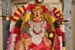 மாணிக்க விநாயகர் கோவிலில் வாராகி அம்மனுக்கு சிறப்பு அபிஷேகம்