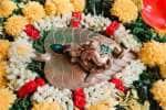 Temple Latest News