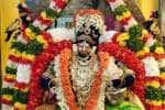 தில்லை கோவிந்தராஜ பெருமாள் கோவிலில் கிருஷ்ண ஜெயந்தி விழா