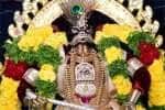 கோவை கிருஷ்ணன் கோவிலில் ஜெயந்தி விழா உற்சாகம்