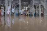 temple news