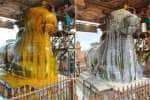 temple news