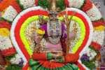 திருத்தணி முருகன் கோவிலில் நவராத்திரி விழா துவக்கம்