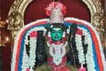 temple news