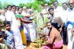 சிங்கம்புணரியில் பழமையான கோயில் நந்தவனம் புனரமைப்பு