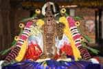 temple news