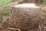பழமையான திருவாழிக்கல் கல்வெட்டு கண்டெடுப்பு