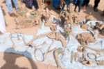 தோண்டப்பட்ட பள்ளத்தில் பஞ்சலோக சிலைகள் மீட்பு