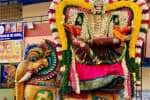 புதுச்சேரியில் யாளி வாகனத்தில் அம்மன் அருள்பாலிப்பு