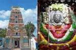 temple news