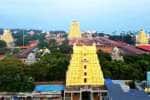 temple news