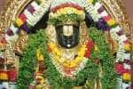 செஞ்சி பெருமாள் கோவில்களில் புரட்டாசி சனிக்கிழமை சிறப்பு வழிபாடு