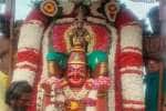 உத்திரமேரூர் நவநீதகிருஷ்ண பெருமாள் கோவிலில் கருட சேவை உத்சவம்