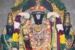 தேவநாத சுவாமி அலங்காரத்தில் நெல்லிக்குப்பம் வேணுகோபால சுவாமி