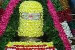 temple news