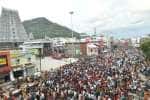 temple news