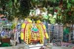 temple news