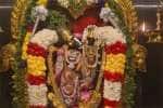 தரணிவராக சுவாமி கோவில் பிரம்மோத்சவத்தில் திருக்கல்யாணம் விமரிசை