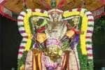 தீவனுார் லட்சுமி நாராயாண பெருமாள் கோவிலில் சிறப்பு அபிஷேகம் 