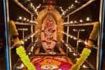 நாக மாலை அணிந்து 41 நாள் கடும் விரதம் இருக்கும் பக்தர்கள்!