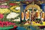 temple news