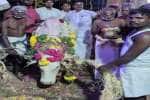 சிங்கம்புணரி வீரையா கோயிலில் பாரம்பரிய எருதுகட்டு விழா