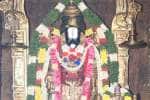 உடுமலை திருப்பதி வேங்கடேச பெருமாள் கோவிலில் புரட்டாசி நான்காம் சனி வழிபாடு