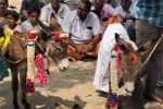 temple news
