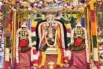 வடிவீஸ்வரத்தில் ஸ்ரீனிவாச பெருமாள் திருக்கல்யாண உற்சவம் 