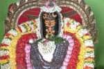 temple news