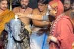 temple news
