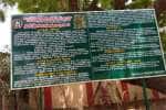 temple news