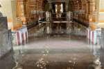 temple news