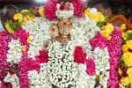 கள்ளக்குறிச்சி ஏமப்பேர் விஸ்வநாதர் கோவிலில் சூரசம்ஹாரம் விழா துவக்கம்