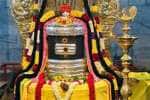 அமிர்தகண்டேஸ்வரர் கோவிலில் மண்டலாபிஷேக நிறைவு விழா