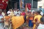 சின்னசேலம் கன்னிகா பரமேஸ்வரி கோவிலில் கோ பூஜை 
