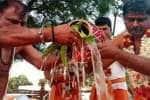 temple news