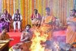 temple news
