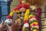 Temple Latest News