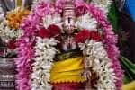 Temple Latest News