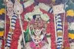 temple news