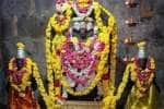 ரிஷிவந்தியம் அர்த்தநாரீஸ்வரர் கோவிலில் சுப்பிரமணிய சுவாமிக்கு சிறப்பு பூஜை
