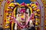 இரத்தின விநாயகர் கோவிலில் சுப்பிரமணிய சுவாமி வீதி உலா