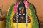 விருதை கோவில்களில் சங்கடஹர சதுர்த்தி வழிபாடு; அருகம்புல் சாற்றி தீபாராதனை