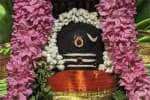 அமிர்த கடேஸ்வரருக்கு ஐப்பசி கடைசி சோம வார சிறப்பு பூஜை