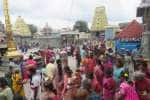 காஞ்சி கச்சபேஸ்வரர் கோவிலில் கடை ஞாயிறு விழா துவக்கம்