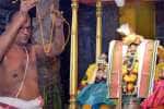 பெருமாள் கோவிலில் திருக்கல்யாண உற்சவம்