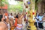 விருத்தகிரீஸ்வரர் கோவில் மாசி பிரம்மோற்சவம்; ஆழத்து விநாயகர் கோவிலில் கொடியேற்றம்