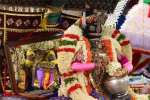 temple news