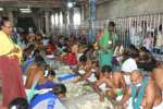 Temple Latest News